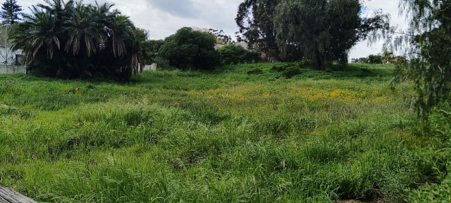 0 Bedroom Property for Sale in Hartebeesfontein Western Cape
